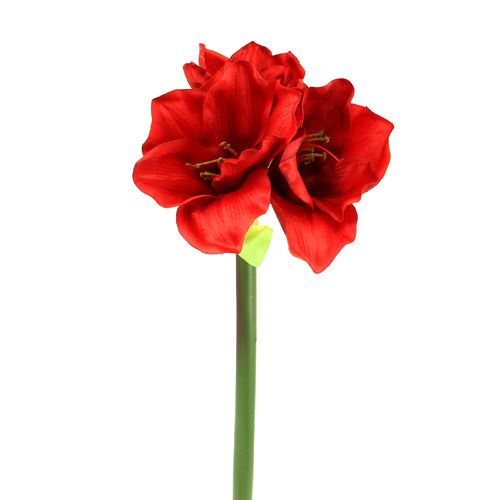 Floristik24 Amaryllis artificielle 60cm rouge