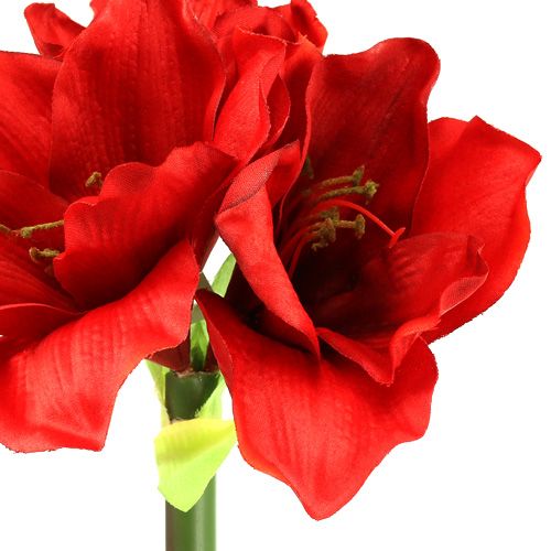 Floristik24 Amaryllis artificielle 60cm rouge