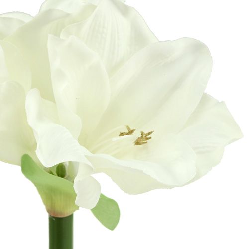 Floristik24 Amaryllis artificiel 60cm blanc