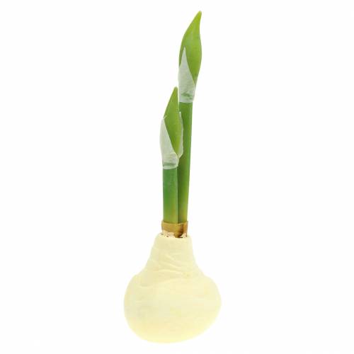 Floristik24 Tubercule d'amaryllis avec bourgeons Artificiel blanc H30cm