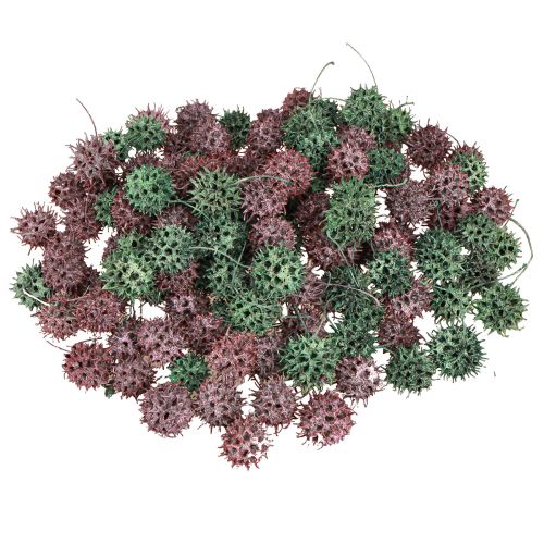 Article Cônes de copalme Liquidambar Givrés vert/rouge baie 500g