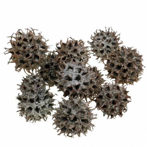 Cônes de liquidambar nature lavé blanc 250g