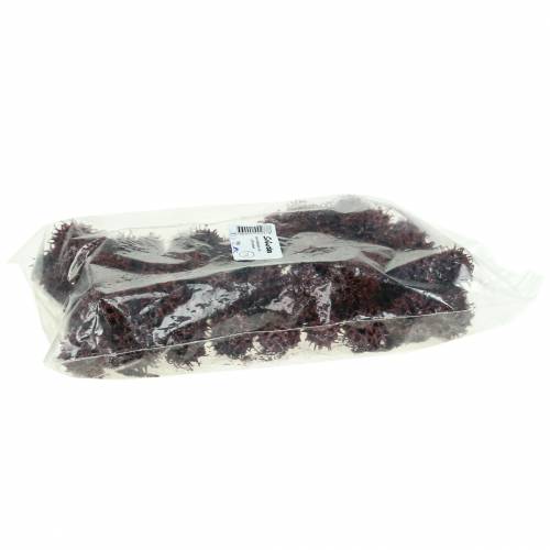 Article Cônes de liquidambar rouges givrés 250g