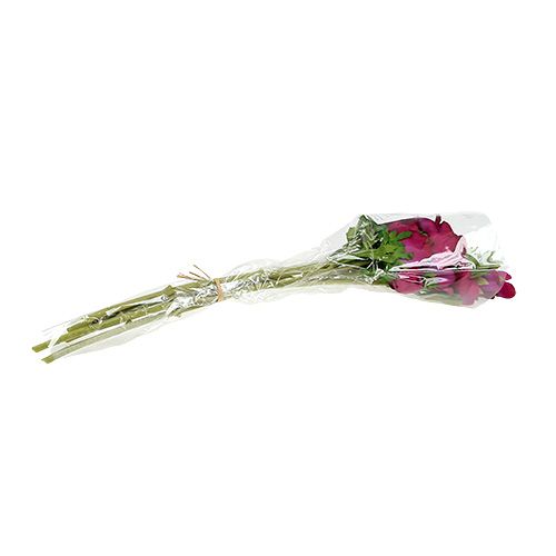 Floristik24 Anémone artificielle Fuchsia 6pcs