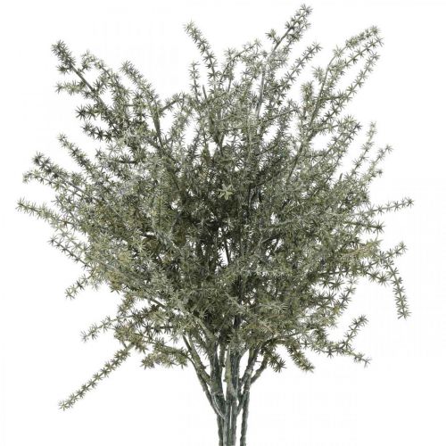 Floristik24 Branche d&#39;asperge déco blanchie artificielle 45cm 6p