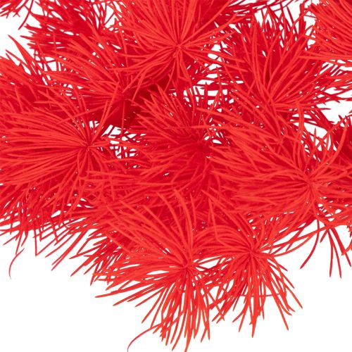 Asperge séchée rouge pour arrangements floraux 65 cm 80 g | Floristik24.fr