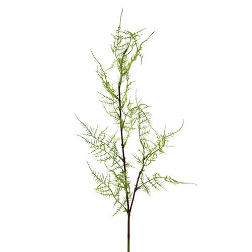 Floristik24 Branche d&#39;asperge 75cm vert 3pcs