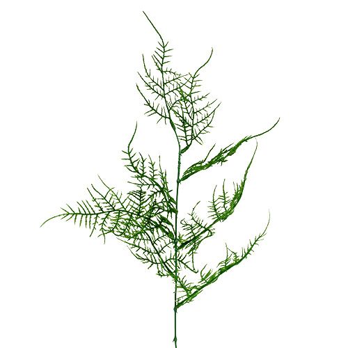 Floristik24 Branche d&#39;asperges 50cm vert 5pcs