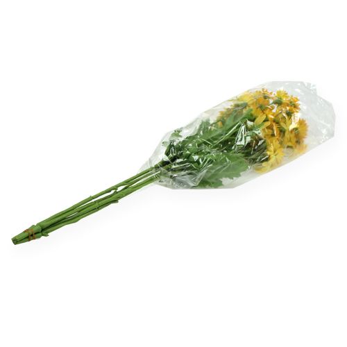 Floristik24 Branche décorative de marguerites 43 cm 4 p.