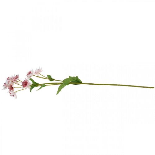 Article Grande Fleur Artificielle Astrania Artificielle en Soie Blanc Rose L61cm