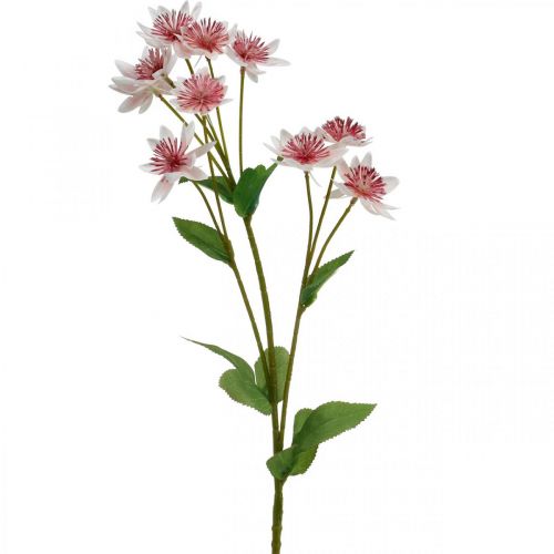 Grande Fleur Artificielle Astrania Artificielle en Soie Blanc Rose L61cm