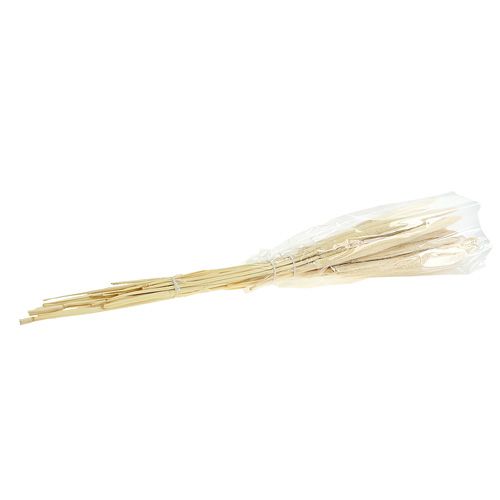 Article Babala blanchi 25 pcs