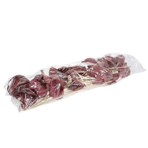 Floristik24 Badam sur bâton rouge, blanchi à la chaux 25pcs