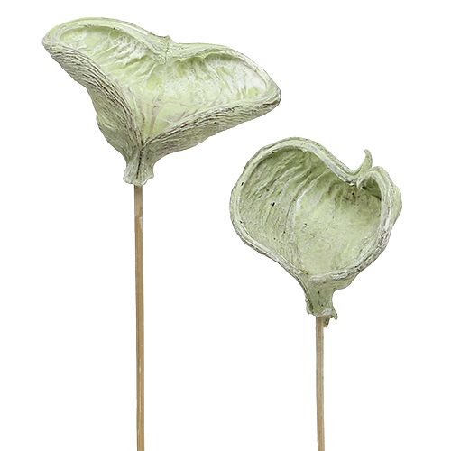 Article Badam sur bâton décoration naturelle vert blanc lavé 25 pièces