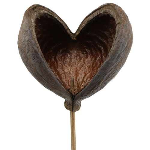Badam sur bâton nature 6cm - 12cm 23p
