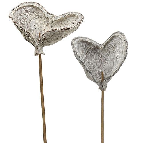 Article Badam sur bâtonnet Déco naturelle blanchie 12cm 23pcs