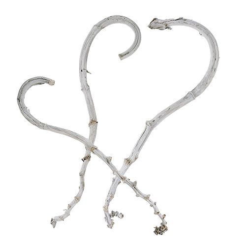 Floristik24 Bâton de banane blanc 5 pcs