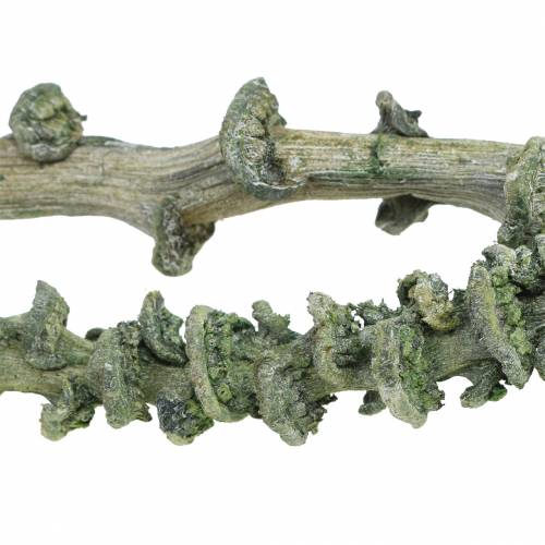Article Tige de Banane Dekoast Vert, blanchi à la chaux 20 pcs