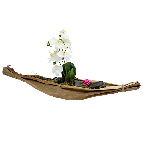 Floristik24 Bol en feuille de bananier 40-45cm naturel 1 pièce