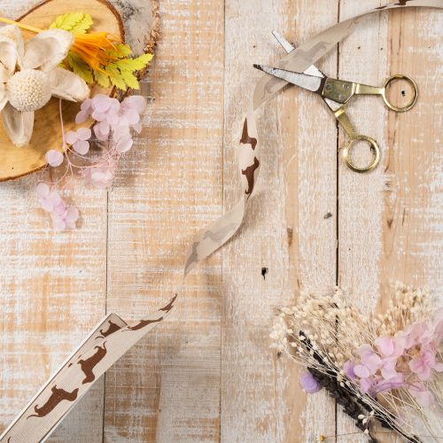 Ruban décoratif en polyester motif teckel crème et marron 15 mm x 18 m pour DIY et décoration intérieure | Floristik24.fr