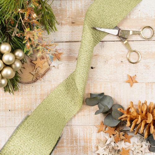 Ruban décoratif avec paillettes 55 mm x 15 m en polyester vert clair | Floristik24.fr