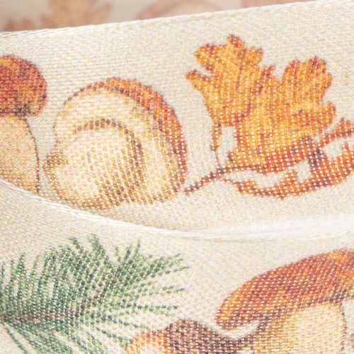 Ruban décoratif avec motif champignons et feuilles d'automne 25mm x 18m | Floristik24.fr