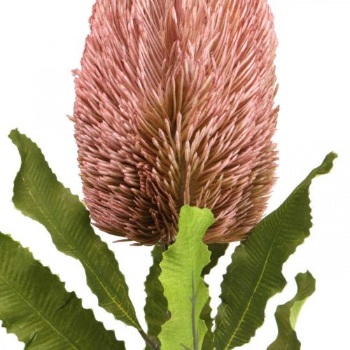 Article Fleur artificielle Banksia rose automne décoration fleuristerie commémorative 64cm