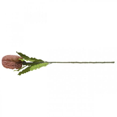 Article Fleur artificielle Banksia rose automne décoration fleuristerie commémorative 64cm