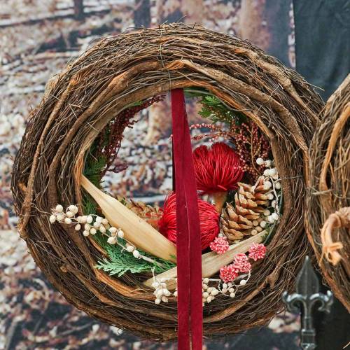 Floristik24 Banksia Baxteri Banksie Fleurs Séchées Exotiques Rouge Pack de 10