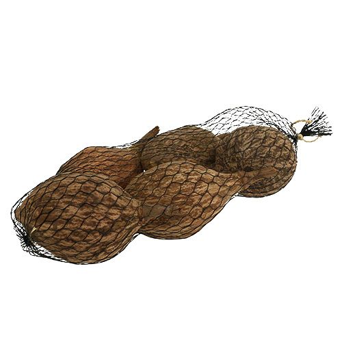 Floristik24 Fruit de baobab pelé 15cm - 20cm naturel 5 pcs