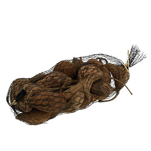 Floristik24 Baobab mini pelé naturel 8cm - 12cm 250g