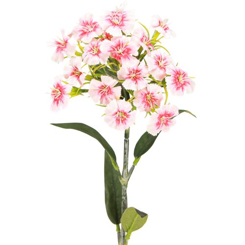 Floristik24 Oeillet barbu Oeillet artificiel Rose Pêche 52cm