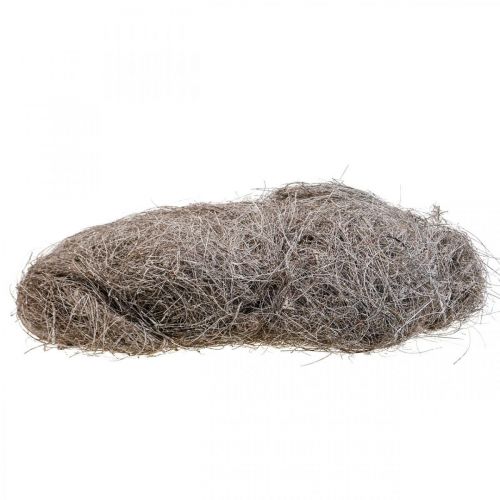 Article Matériel artisanal fibres de palmier palmier palmyre lavé à la chaux 1kg