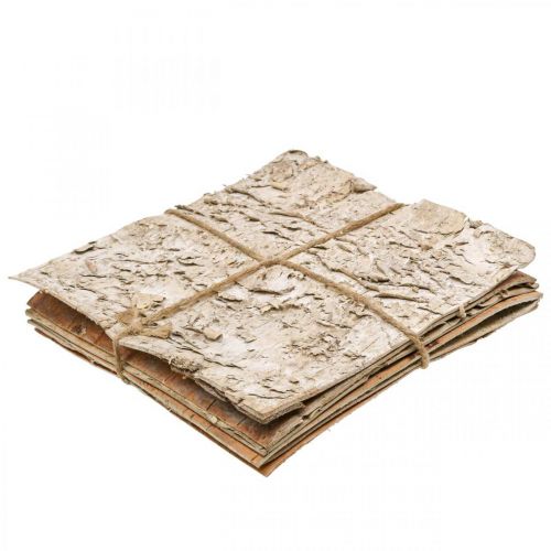 Floristik24 Écorce d'arbre écorce décorative carrée écorce de bouleau naturelle 20×20cm 6 pcs