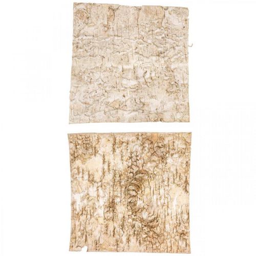 Floristik24 Écorce d'arbre écorce décorative carrée écorce de bouleau naturelle 20×20cm 6 pcs
