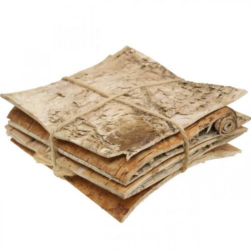 Floristik24 Écorce d'arbre écorce décorative carrée écorce de bouleau naturelle 10×10cm 6 pcs