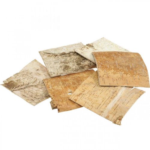 Floristik24 Écorce d'arbre écorce décorative carrée écorce de bouleau naturelle 10×10cm 6 pcs