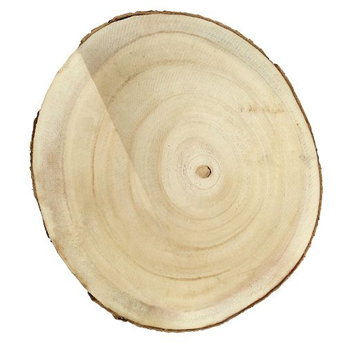 Floristik24 Tranche d'arbre nature Ø20cm - 30cm