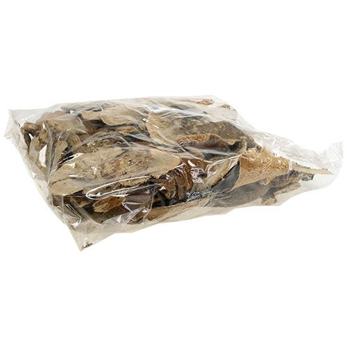 Article Éponge d&#39;arbre champignons décoratifs naturels séchés 6cm 1kg