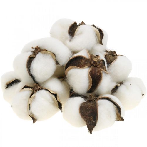 Floristik24.fr Déco fleur de coton Coton séché naturel déco Ø6cm 12p -  acheter pas cher en ligne