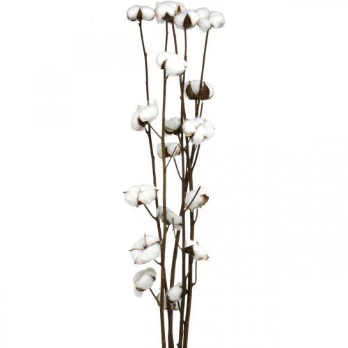 Branche de coton, branche décorative en coton, vrai coton L80cm 5 pièces