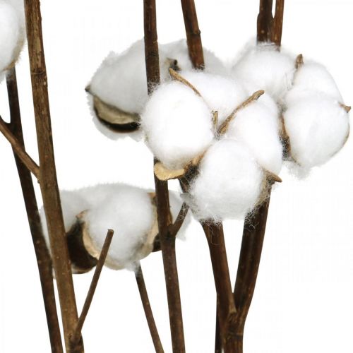 Article Branche de coton, branche décorative en coton, vrai coton L80cm 5 pièces