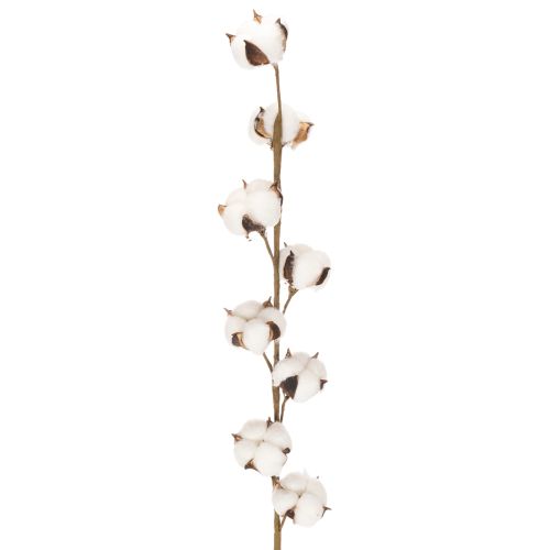 Branche de coton artificielle avec 8 vraies fleurs, 78 cm
