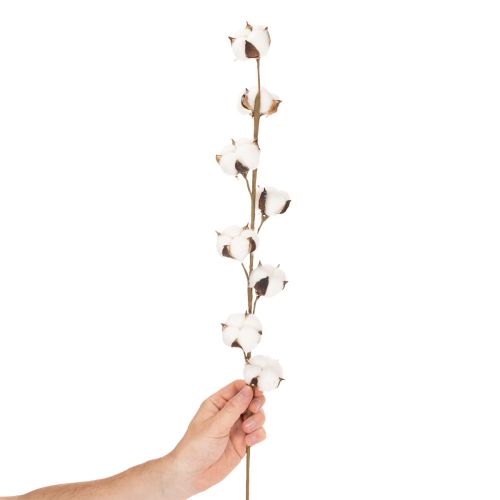 Branche de coton artificielle avec 8 vraies fleurs, 78 cm | Floristik24.fr