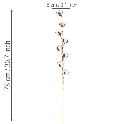 Branche de coton artificielle avec 8 vraies fleurs, 78 cm | Floristik24.fr