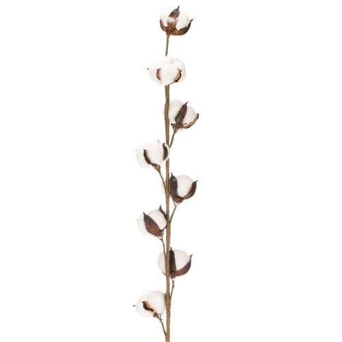 Branche de coton artificielle avec 8 vraies fleurs, 78 cm | Floristik24.fr