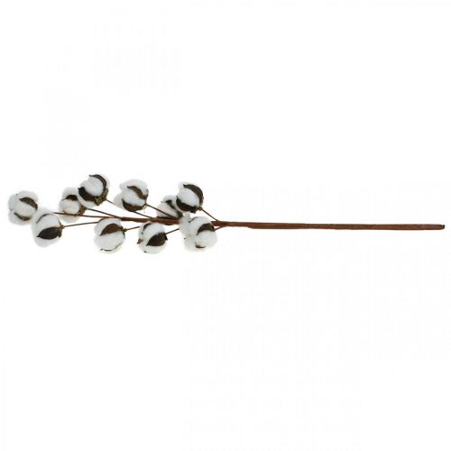 Floristik24 Branche de coton décoration naturelle 10 têtes sur fil décoration coton 68cm