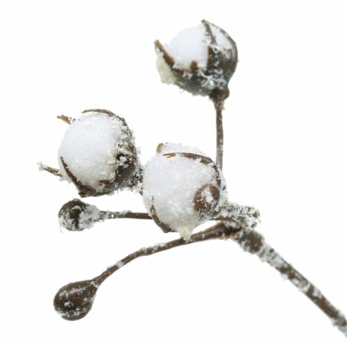Floristik24 Branche de coton glacé 47cm