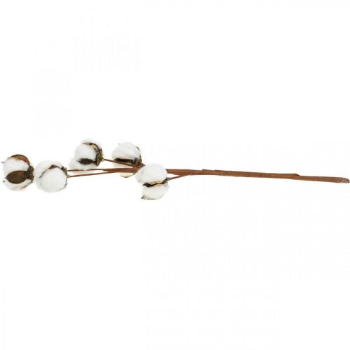 Article Décoration branche en coton Branche décorative en coton véritable 5 têtes 50cm