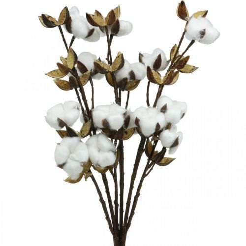 Floristik24.fr Branche de coton Branche artificielle déco coton 61cm 3pcs -  acheter pas cher en ligne